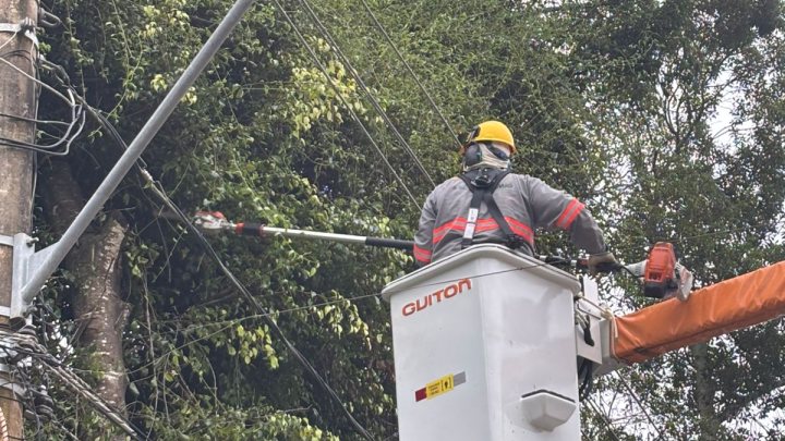 Prefeitura de Alto Caparaó solicita apoio da Cemig para realização de podas preventivas na rede elétrica